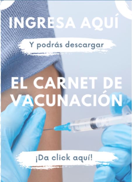 IMAGEN DE ACCESO - CORREO INSTITUCIONAL